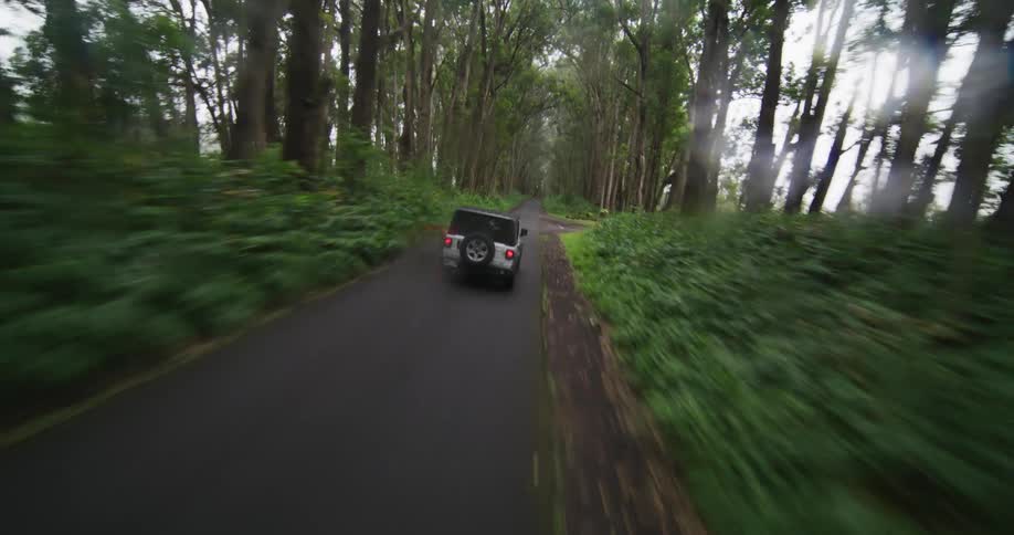 Aerial view of car driving on forest road fast