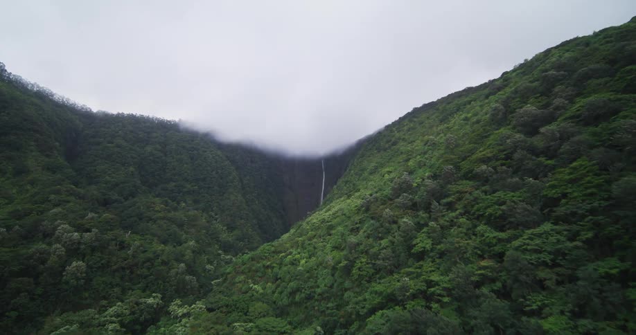 Water falls down cliff between jungle covered mountains under low lying clouds