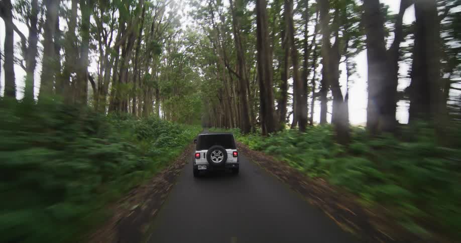 A jeep drives down a narrow road through the forest