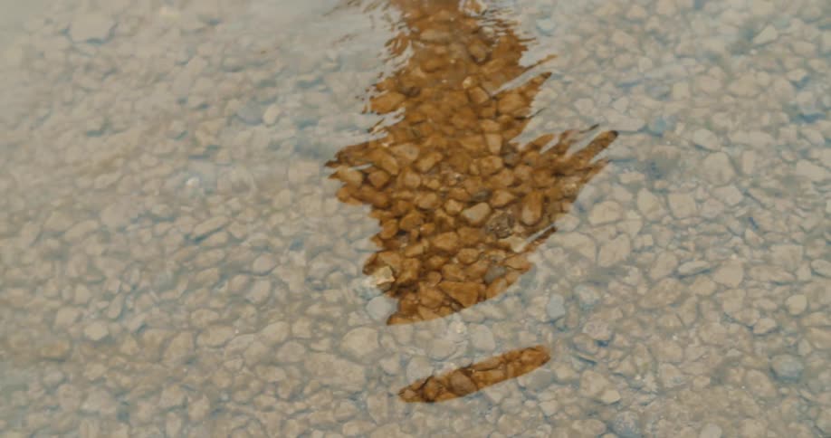 A person wades through the calm river water as their shadow reflects