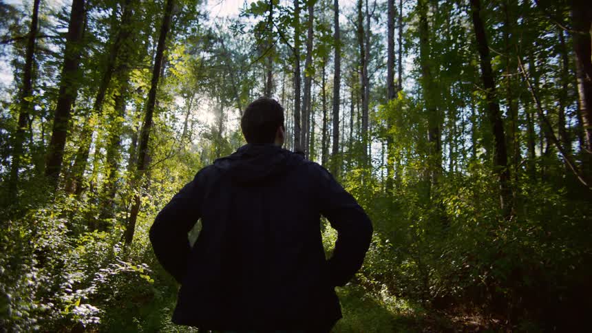 Young man in forest