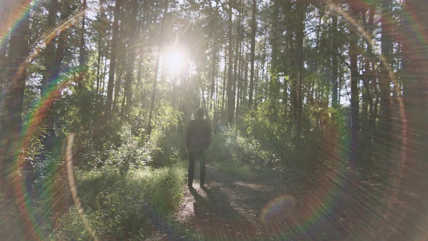 Young man standing in forest surrounded by a halo of sunlight