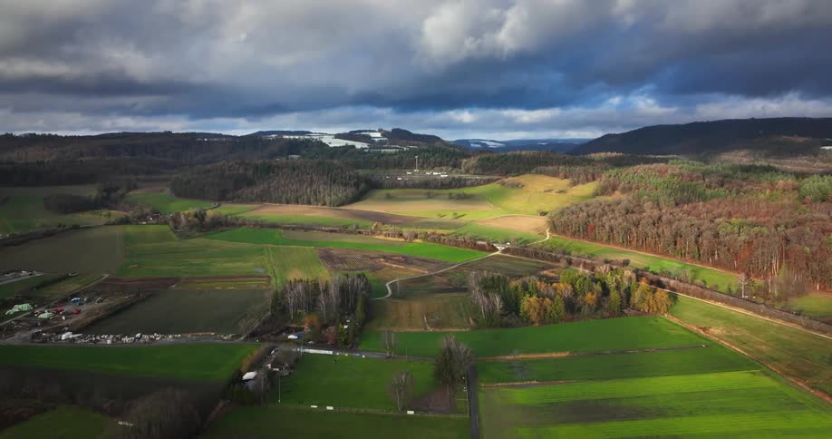Crops sit in distinct rectangular parcels on a farm