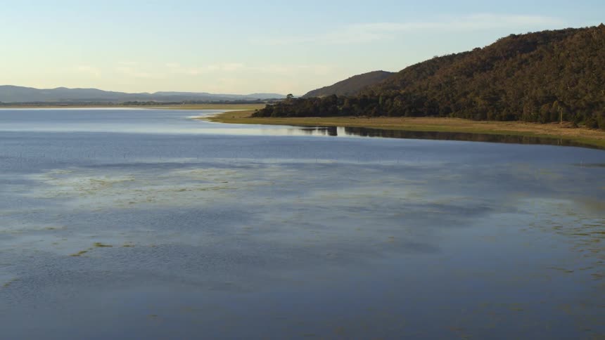 Aerial view of shoreline and mountain with forest