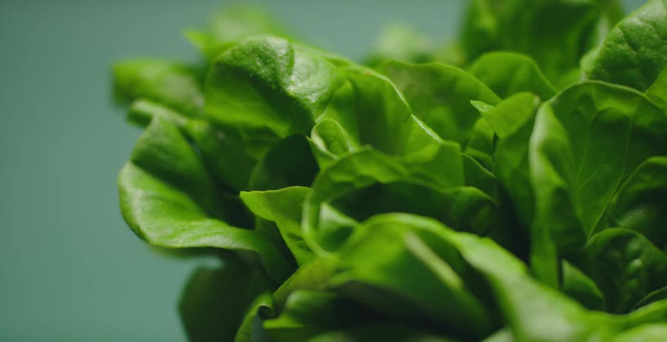 Leafy vegetables are on display