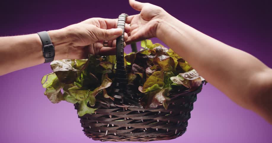 One person hands a basket of lettuce to another