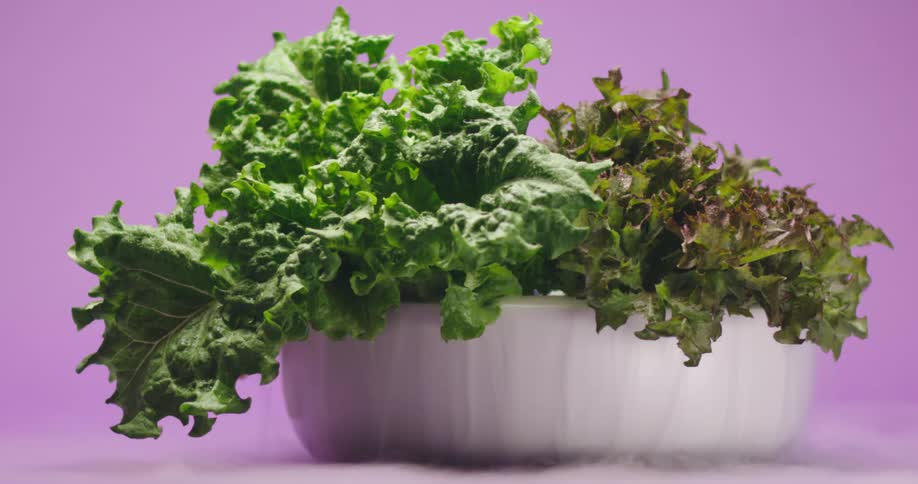 Lettuce in white bowl with steam on pink background in studio