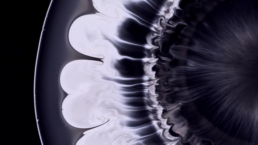 Monochrome design like a fluid flower blooming