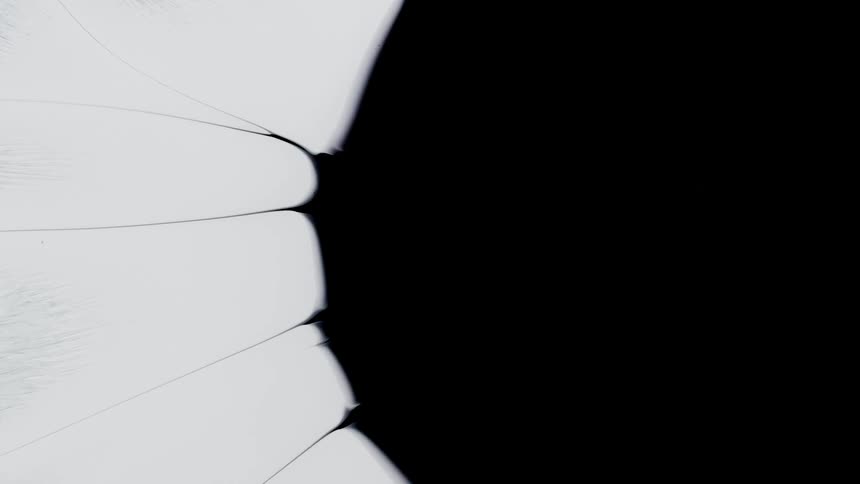 Abstract fluid shapes are displayed in monochrome