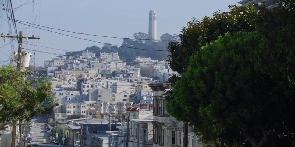 Coit tower stands tall on a hill above a neighborhood of homes