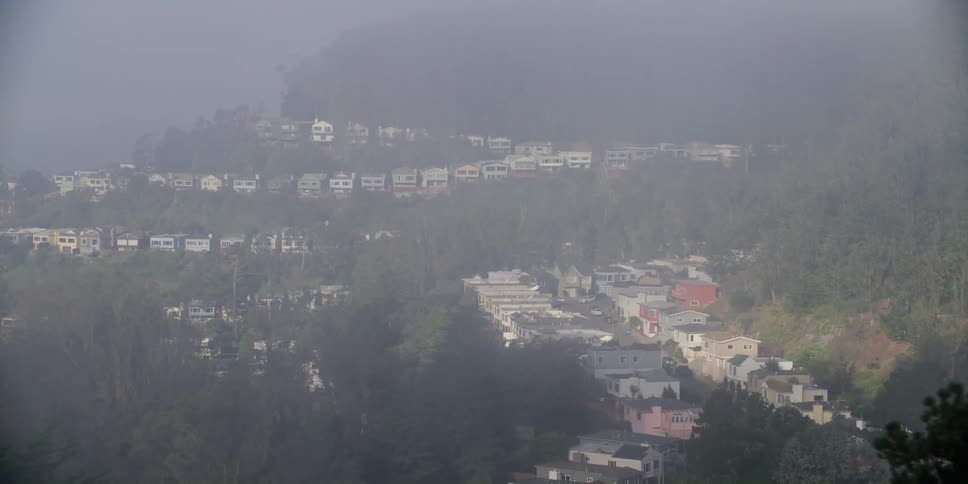 Fog covers houses sitting on slope near forest