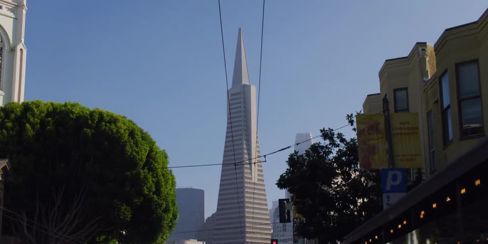 View of a downtown city is displayed in spring