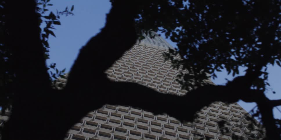 Trees are covering the tall building in a city