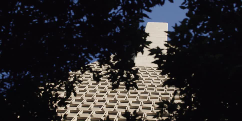 A triangular skyscraper with distinct windows is visible through a line of trees
