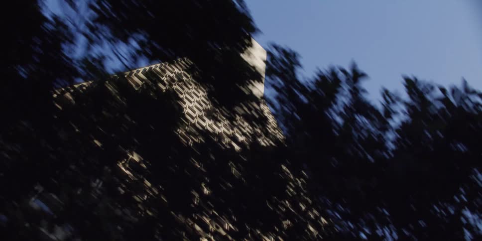 Looking up at a tall skyscraper through trees on a clear day