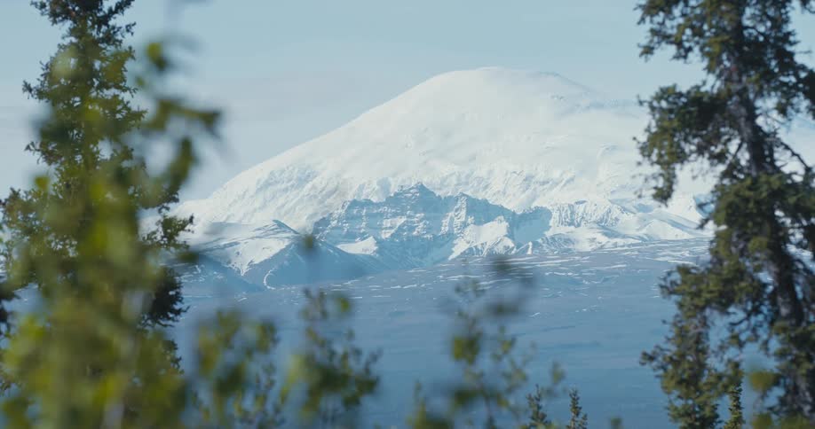 Snow covered mountain seen through trees in a forest