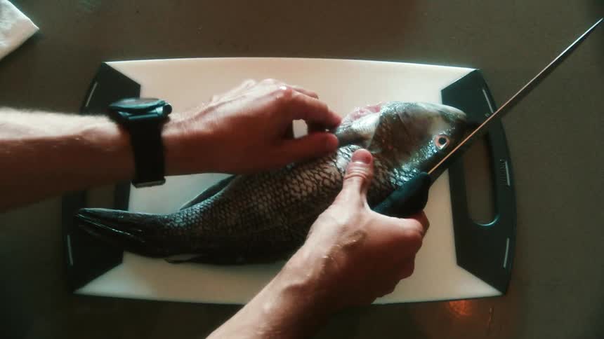 Man with blue shirt and wristwatch puts fish on cutting boardand prepares to cut it in the kitchen