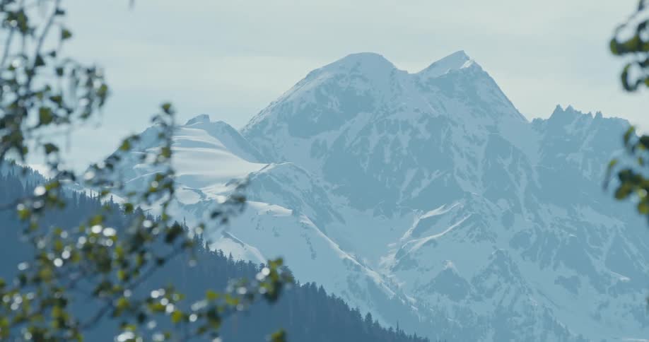 View of big mountains covered in snow next to an arctic forest