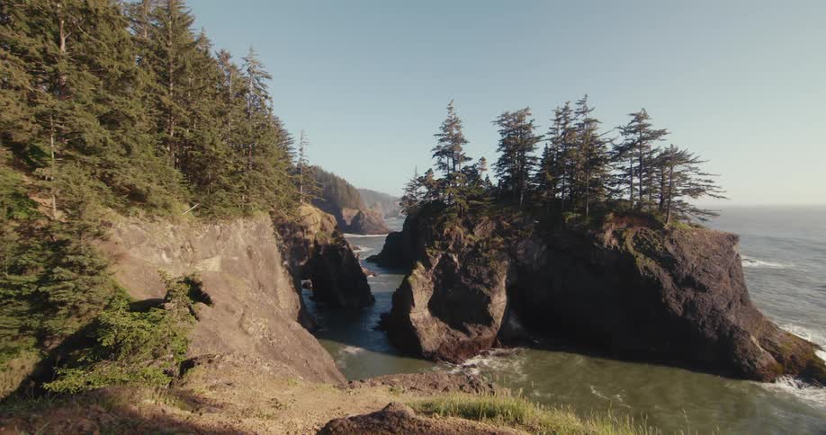 Pine trees growing on a promontory in the coast near the mountains close to the ocean