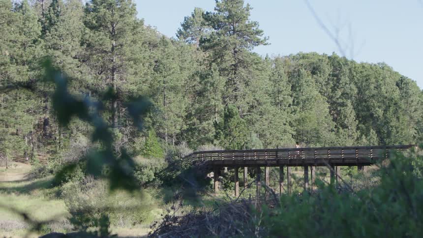 A person is running across a small wooden bridge in the distance