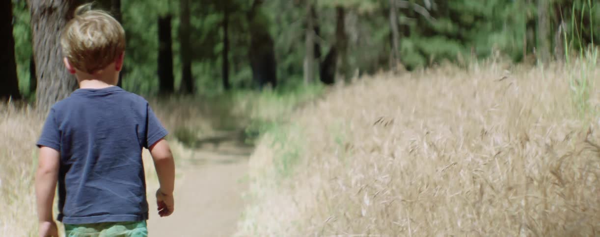 A boy is walking along some tall yellow grass on a trail