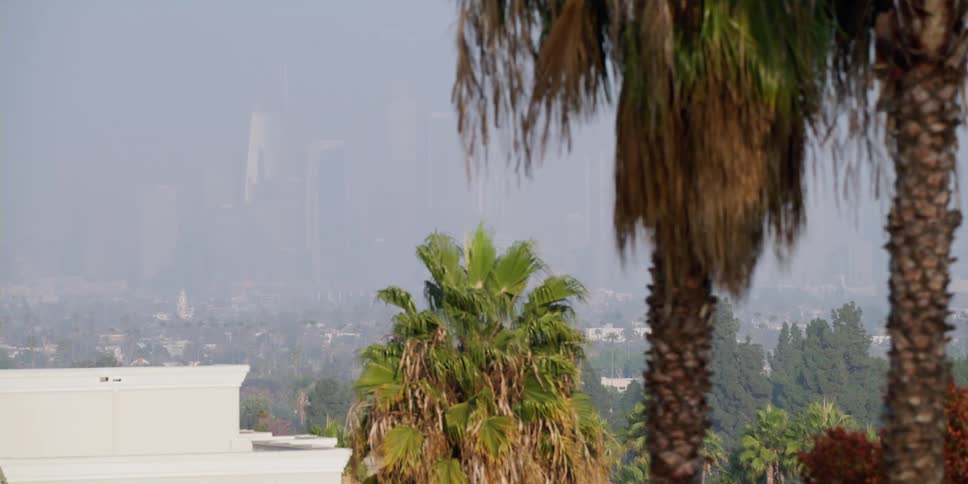 Fog obscures downtown city skyline