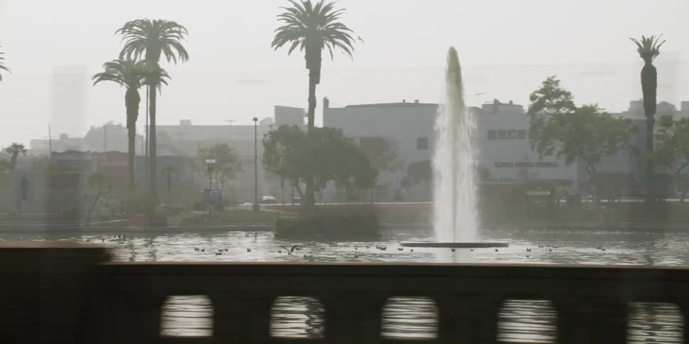 View of a manmade lake with a large water fountain and ducks located in a downtown area on an overcast hazy day