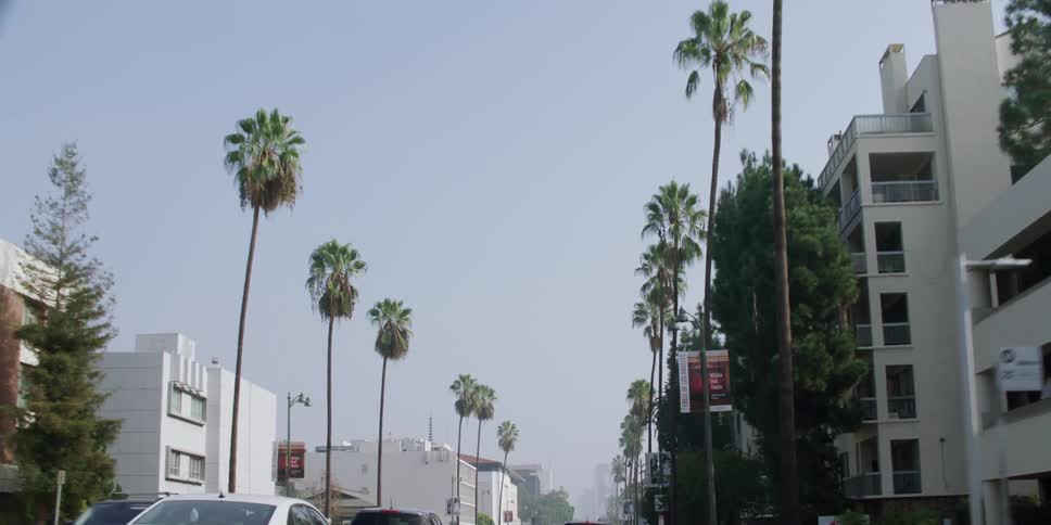 Cars are driving in a city in spring
