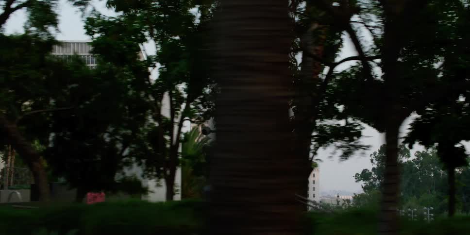 Pedestrians and cars move in the city near the trees and buildings