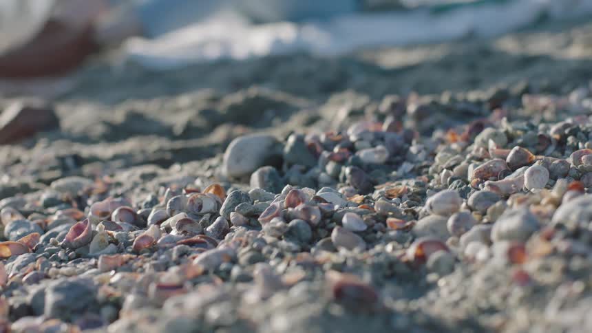 Pebbles and small shells on the beach with a person sitting on a towel nearby