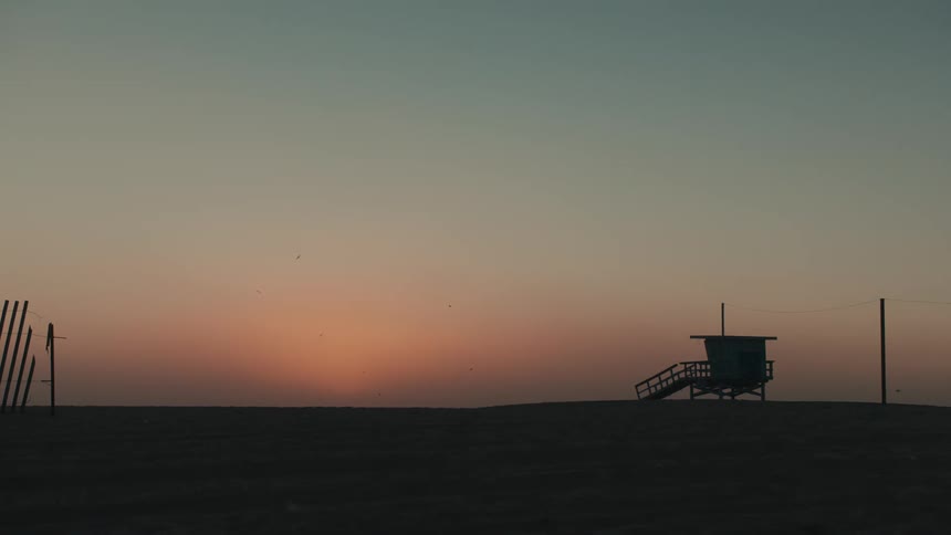 Birds fly on the beach at sunset