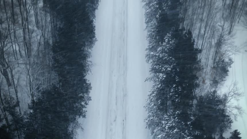 Aerial view of automobile tracks on a snow covered forest road during a blizzard