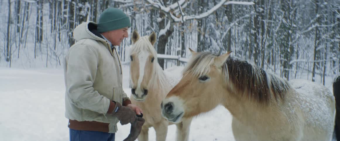 A farmer walks and checks on his horses in the snow