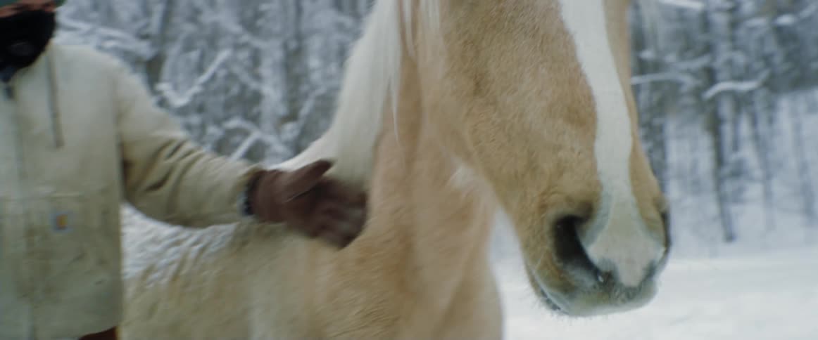 A man on a ranch pets a horse