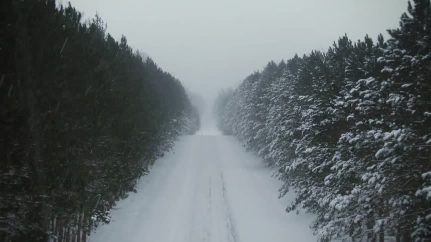 Aerial view of automobile tracks in the snow on a snow covered forest road during a blizzard