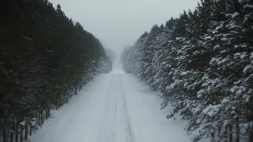 Aerial view of automobile tracks in the snow on a snow covered forest road during a blizzard
