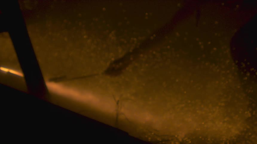 Water and chemicals from a strong hose leaves a haze in the air