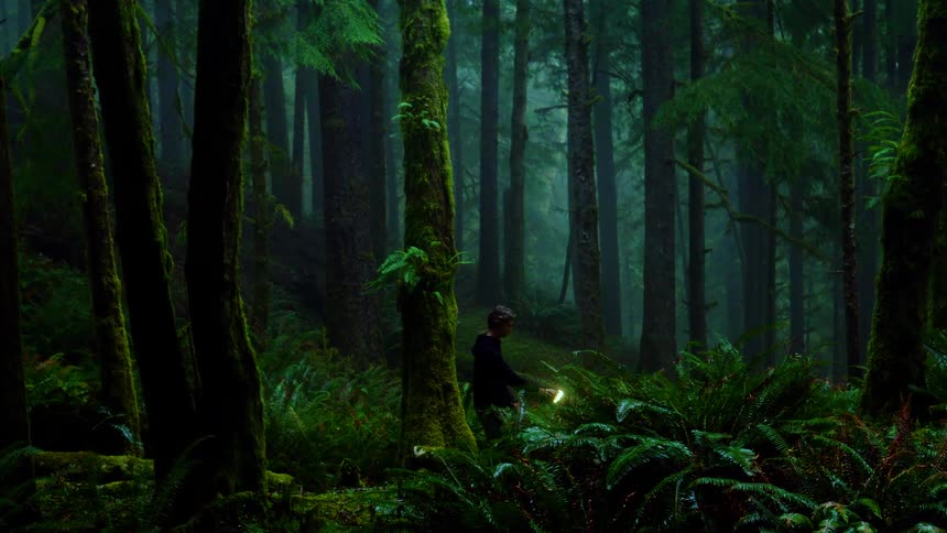 A man is walking through a forest with a flashlight
