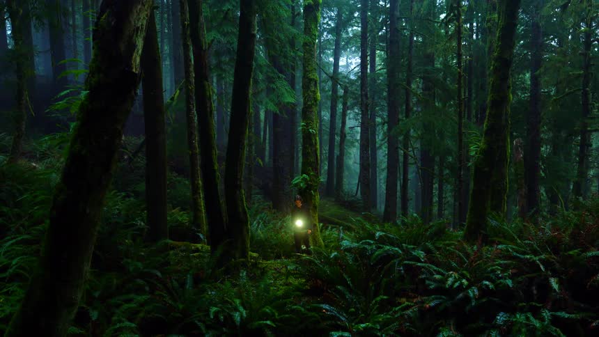 A man is walking through a forest with a flashlight
