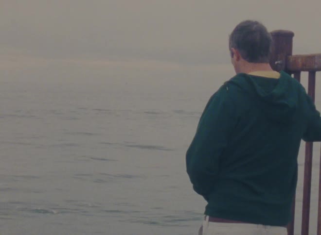 A man is standing by the water