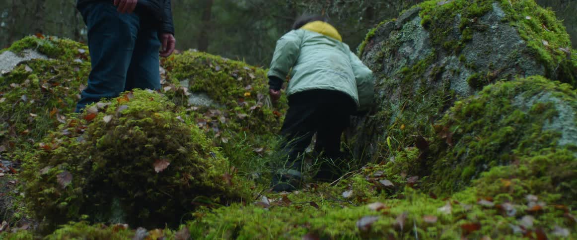 A man helps his son jump down from a boulder in the forest