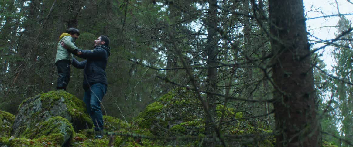 Man lifts boy onto moss covered boulder in conifer forest then they compare heights