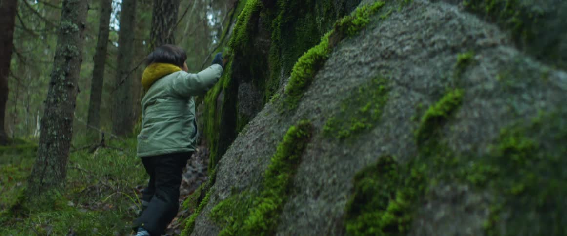 A young boy wearing a jacket is playing in a forest and he climbs on moss covered rocks