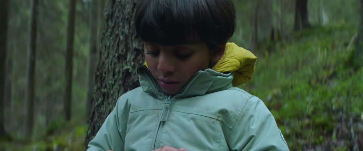 A boy holds an object while leaning against a tree in the woods