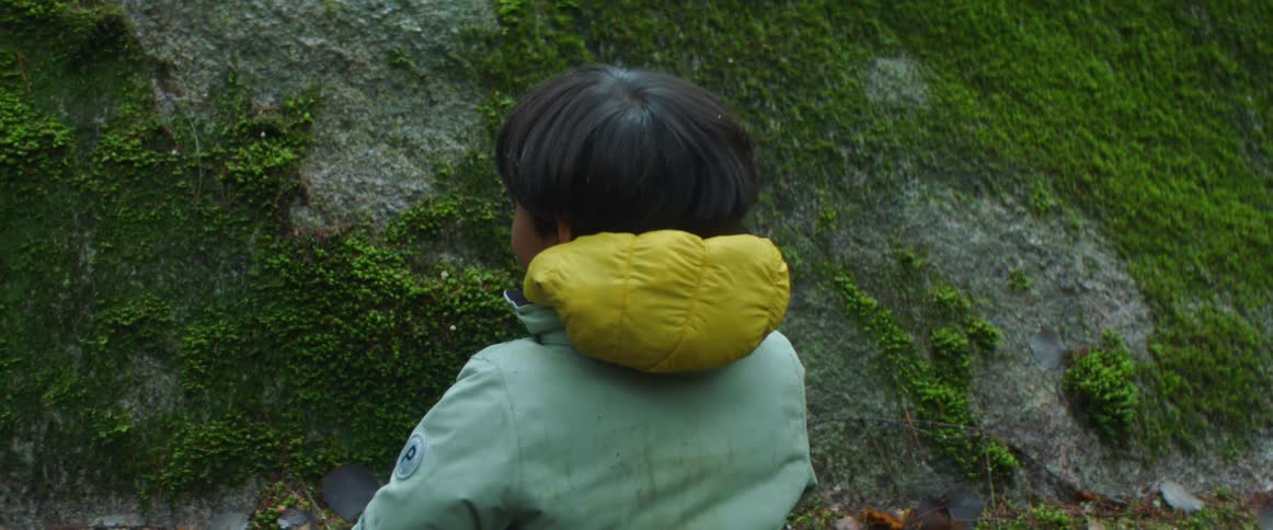 Curious little boy wearing a winter jacket feeling moss growing on large rock