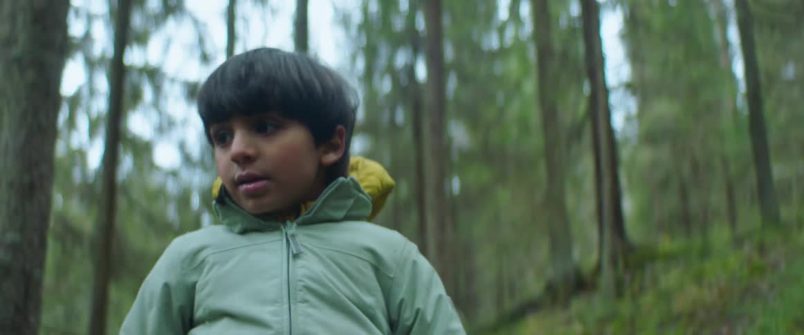 A boy looks around at the ground while standing in a forest