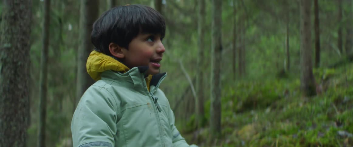 A boy outside hiking in a forest
