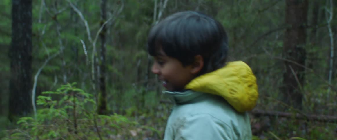 A child climbs through the forest