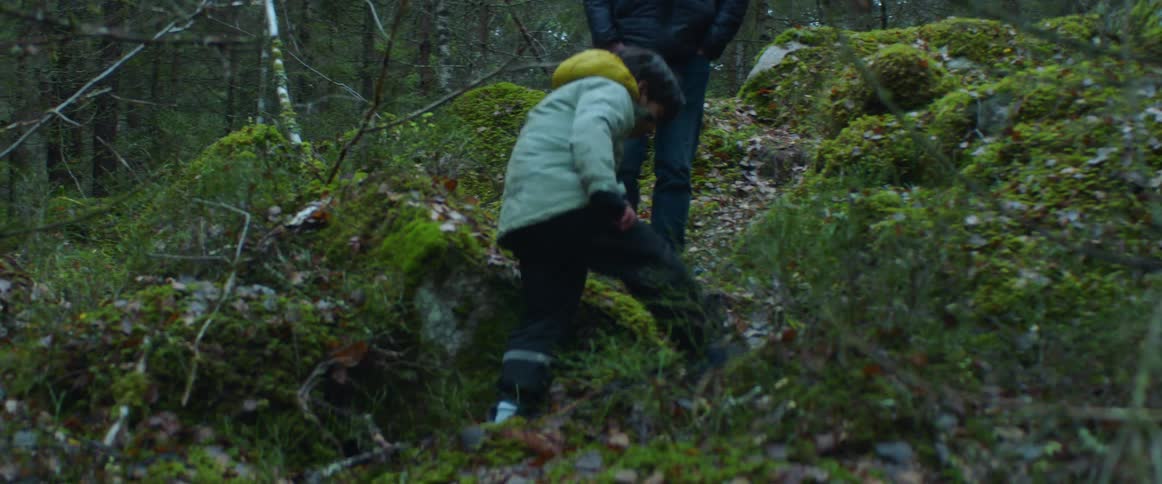A boy is climbing over the rocks in the forest