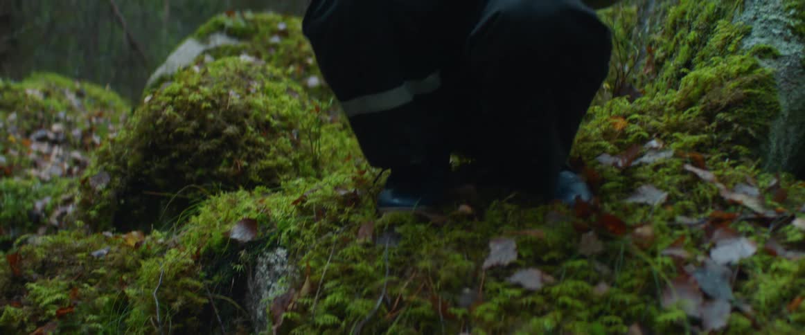 Father and son in the middle of the forest while the father points to the ground and the son sits in a rock